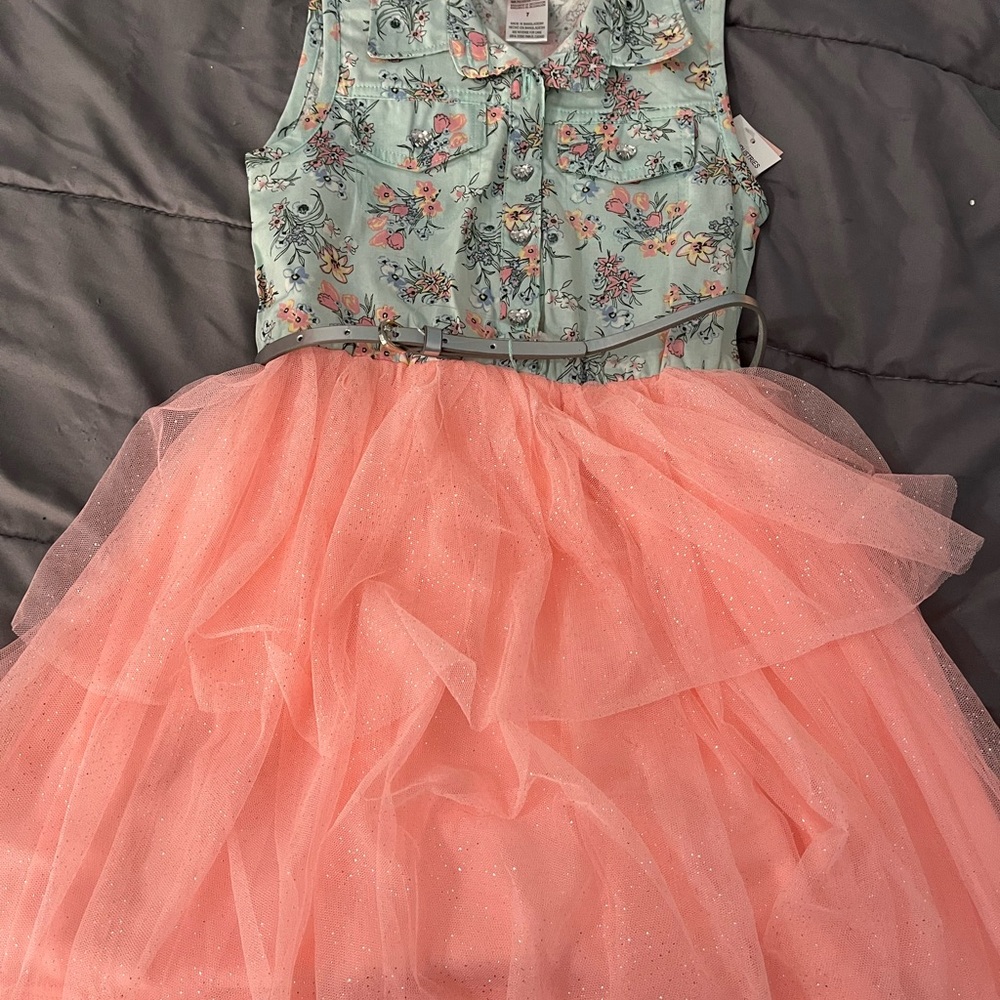 Little Lass Floral and Pink Tulle Dress